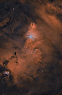 Christmas Tree Cluster (NGC 2264)